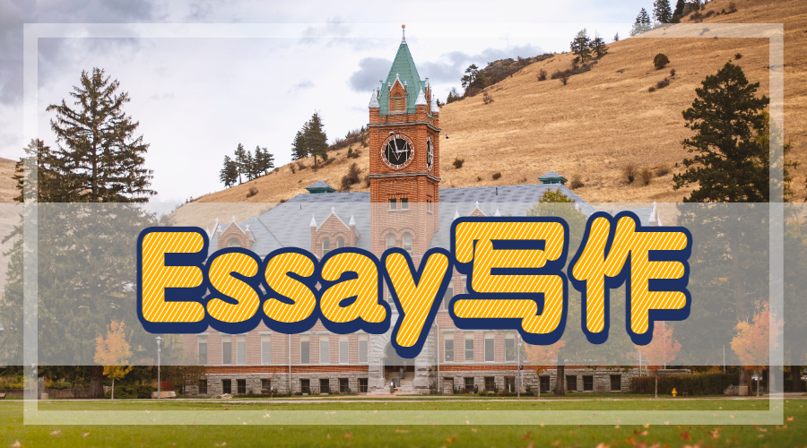 英國留學生四種學術(shù)essay寫作類型