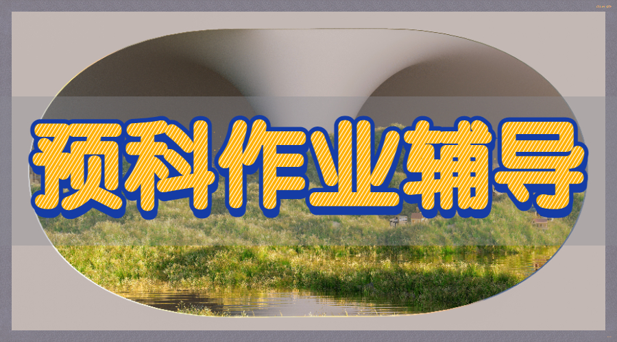 預科作業(yè)輔導