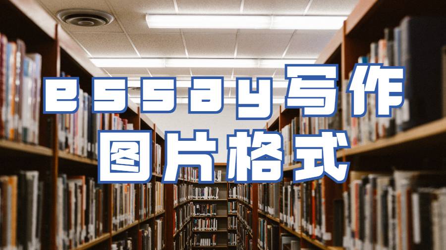 哈特福德大學留學生如何確定論文essay寫作中圖片格式？