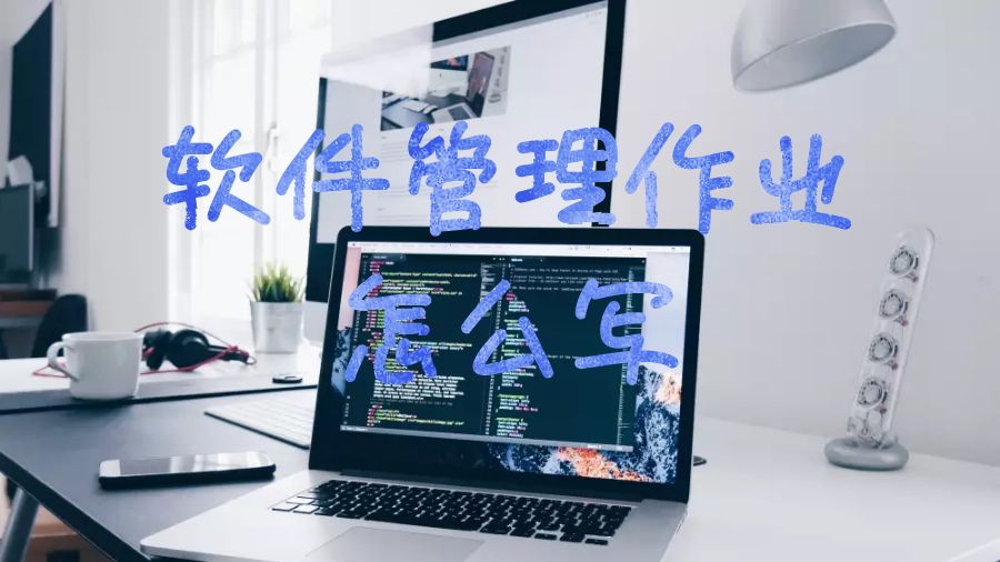 卡耐基梅隆大學軟件管理作業怎么寫？