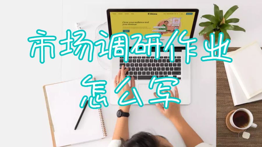 美國萊斯大學市場調研作業怎么寫？