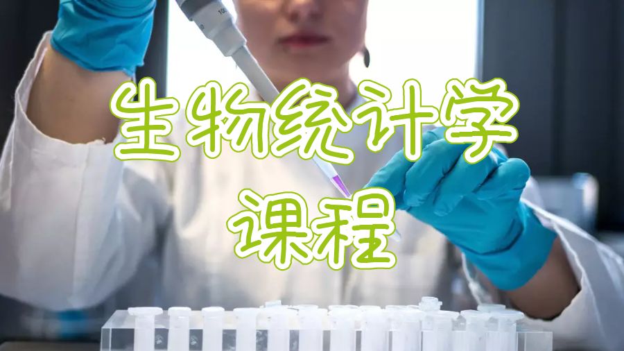 美國大學生物統計學課程都輔導些什么？