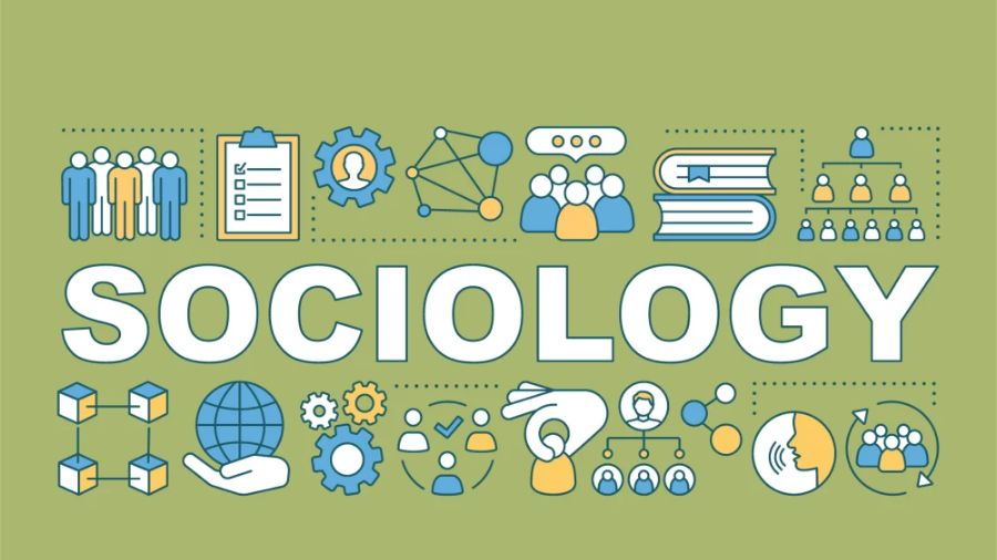 社會學(xué)課程輔導(dǎo)