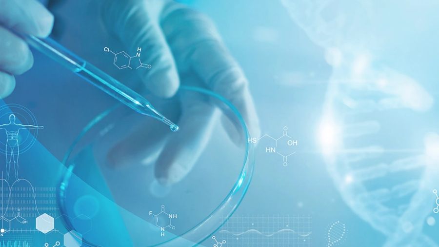 斯威本科技大學(xué)生物醫(yī)學(xué)工程課程