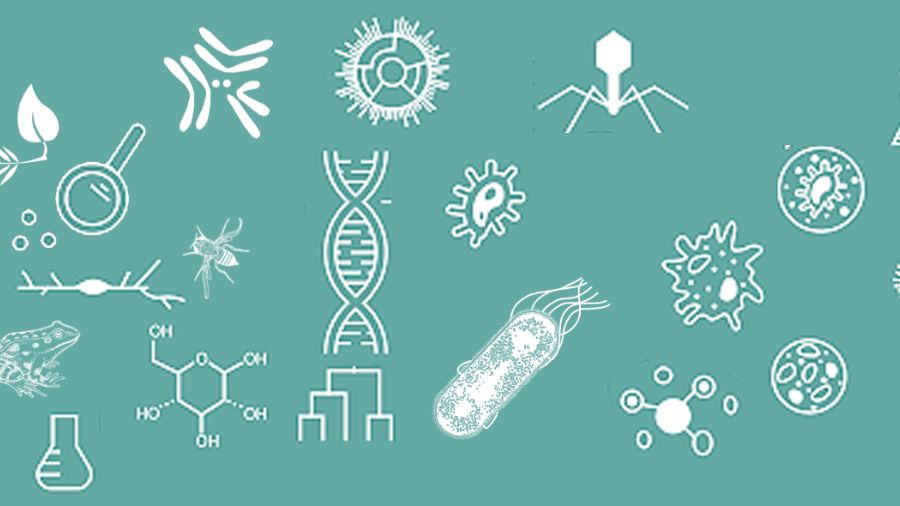 埃默里大學生物學課程輔導