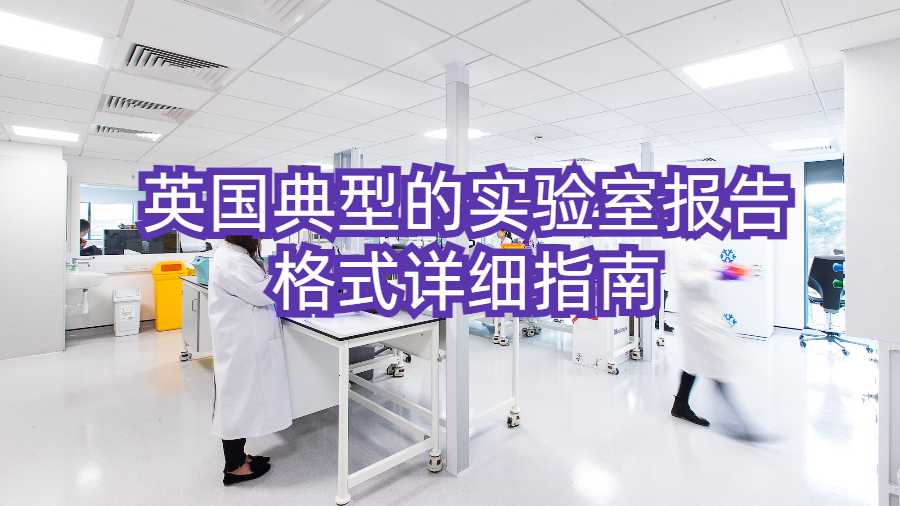 報告