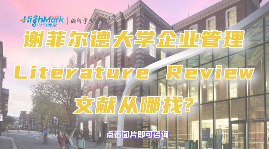 謝菲爾德大學企業管理Literature Review文獻從哪找?