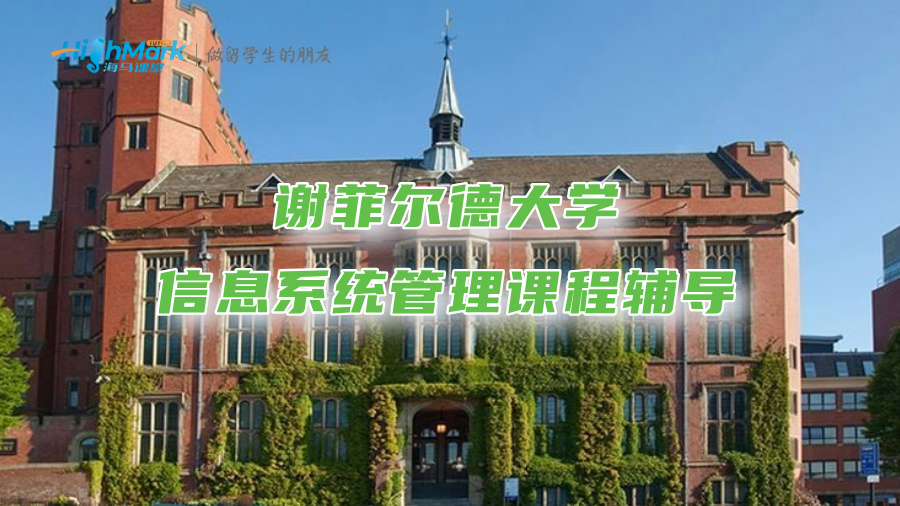 謝菲爾德大學信息系統管理課程輔導