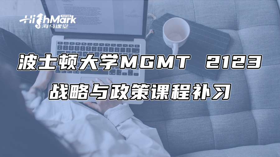 波士頓大學MGMT 2123戰略與政策課程補習