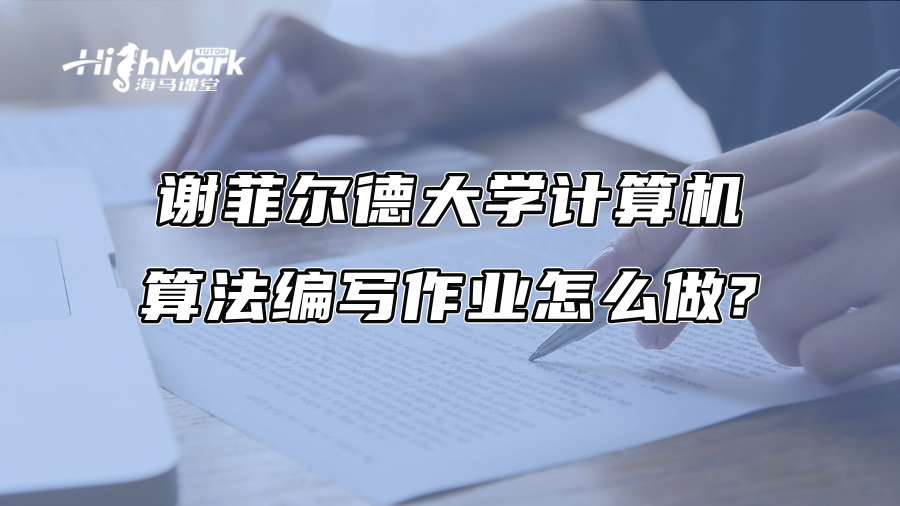謝菲爾德大學(xué)計(jì)算機(jī)算法編寫作業(yè)怎么做?